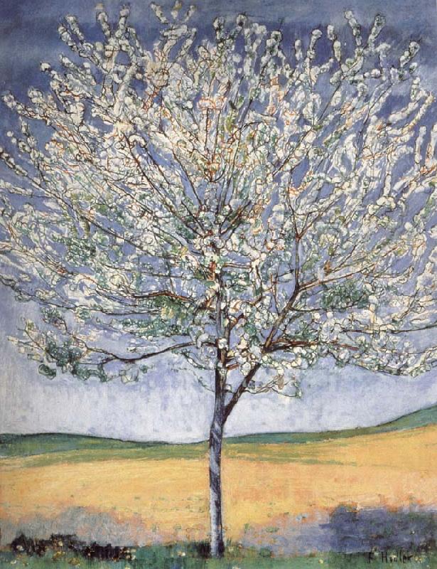 Ferdinand Hodler Cherry tree in bloom Spain oil painting art
